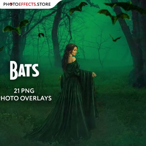 20 Bat Photo Overlayscover image.