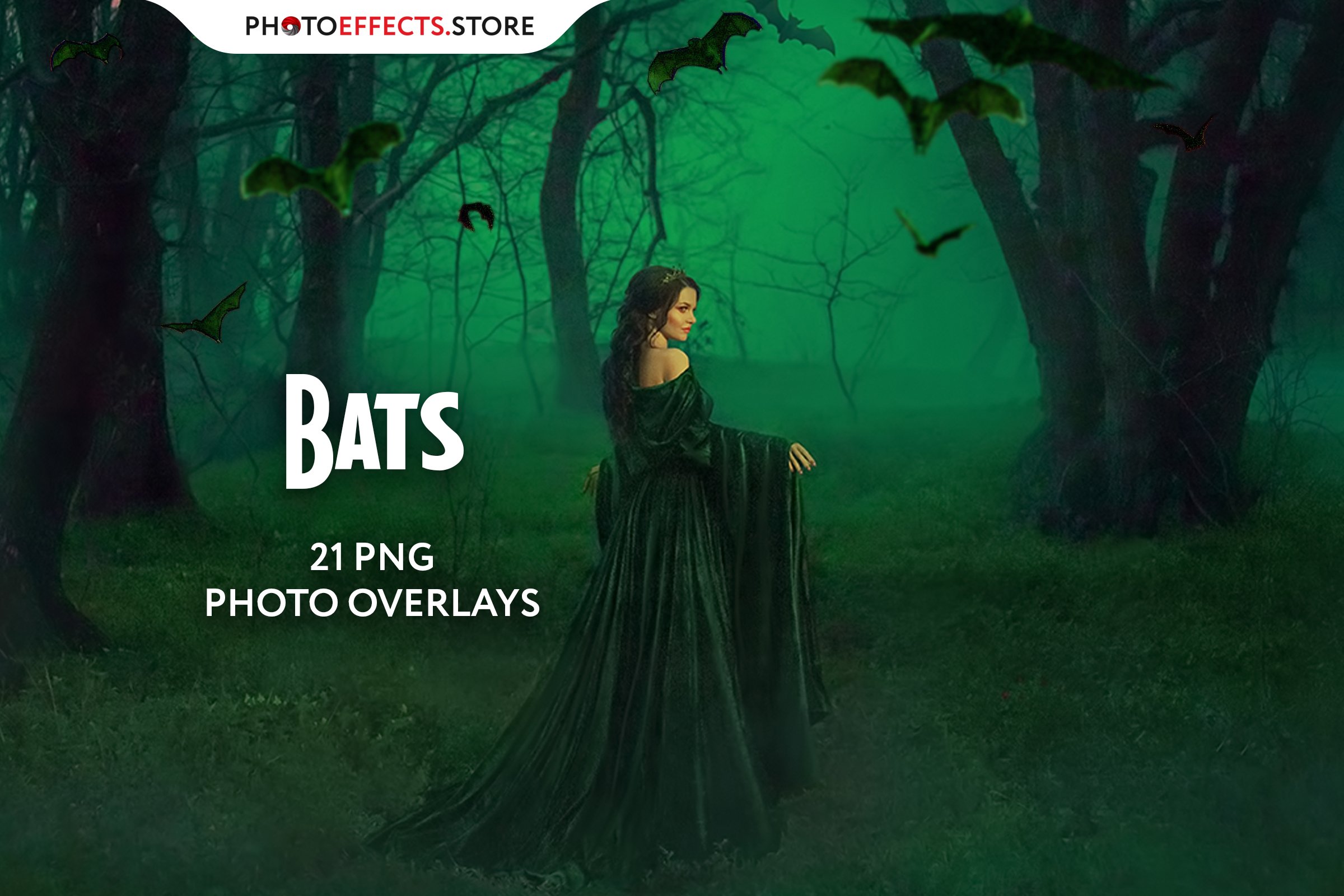 20 Bat Photo Overlayscover image.