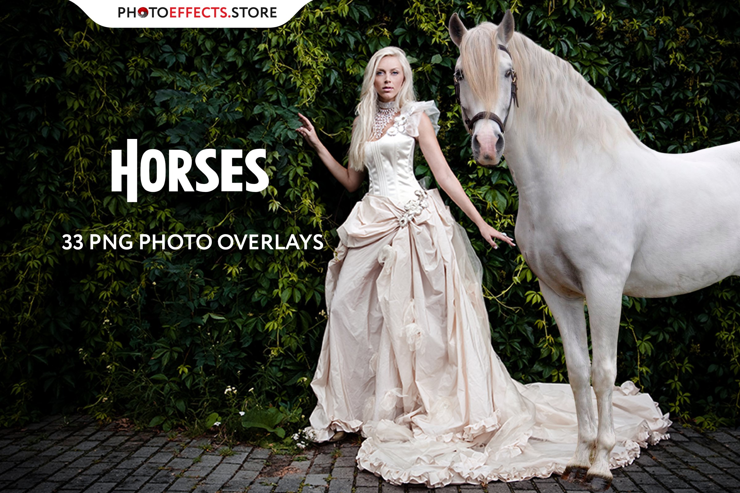 33 Horse Photo Overlayscover image.