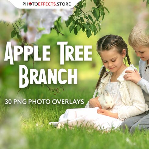 30 Apple Tree Branch Photo Overlayscover image.