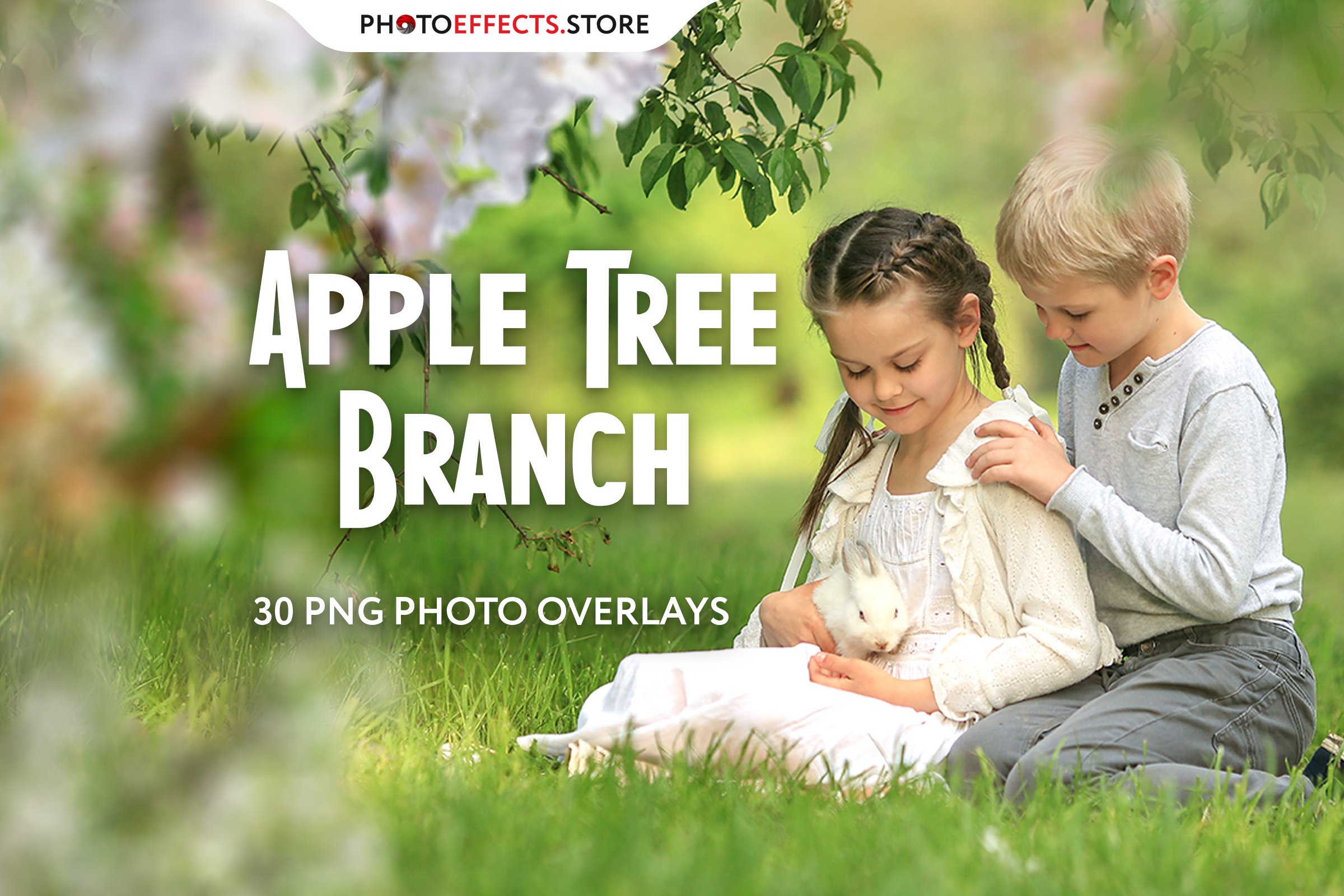 30 Apple Tree Branch Photo Overlayscover image.