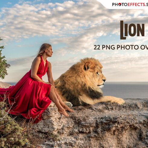 22 Lion Photo Overlayscover image.