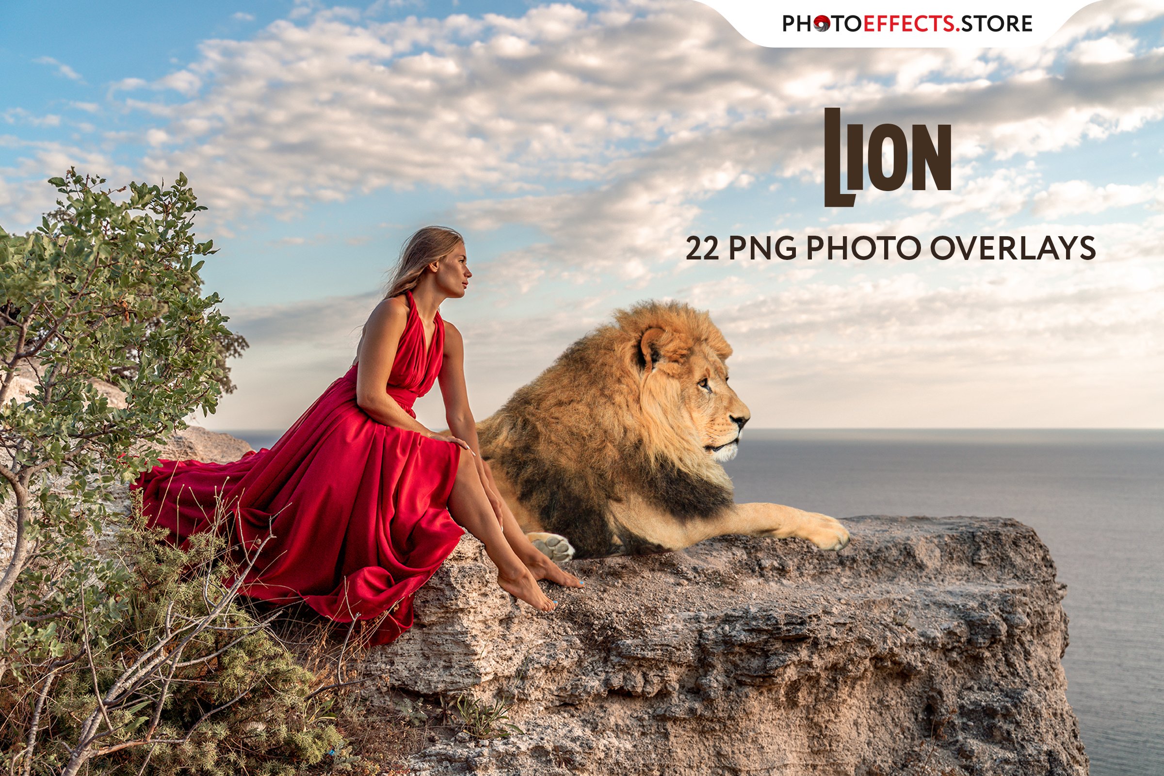 22 Lion Photo Overlayscover image.