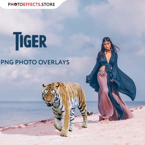 26 Tiger Photo Overlayscover image.