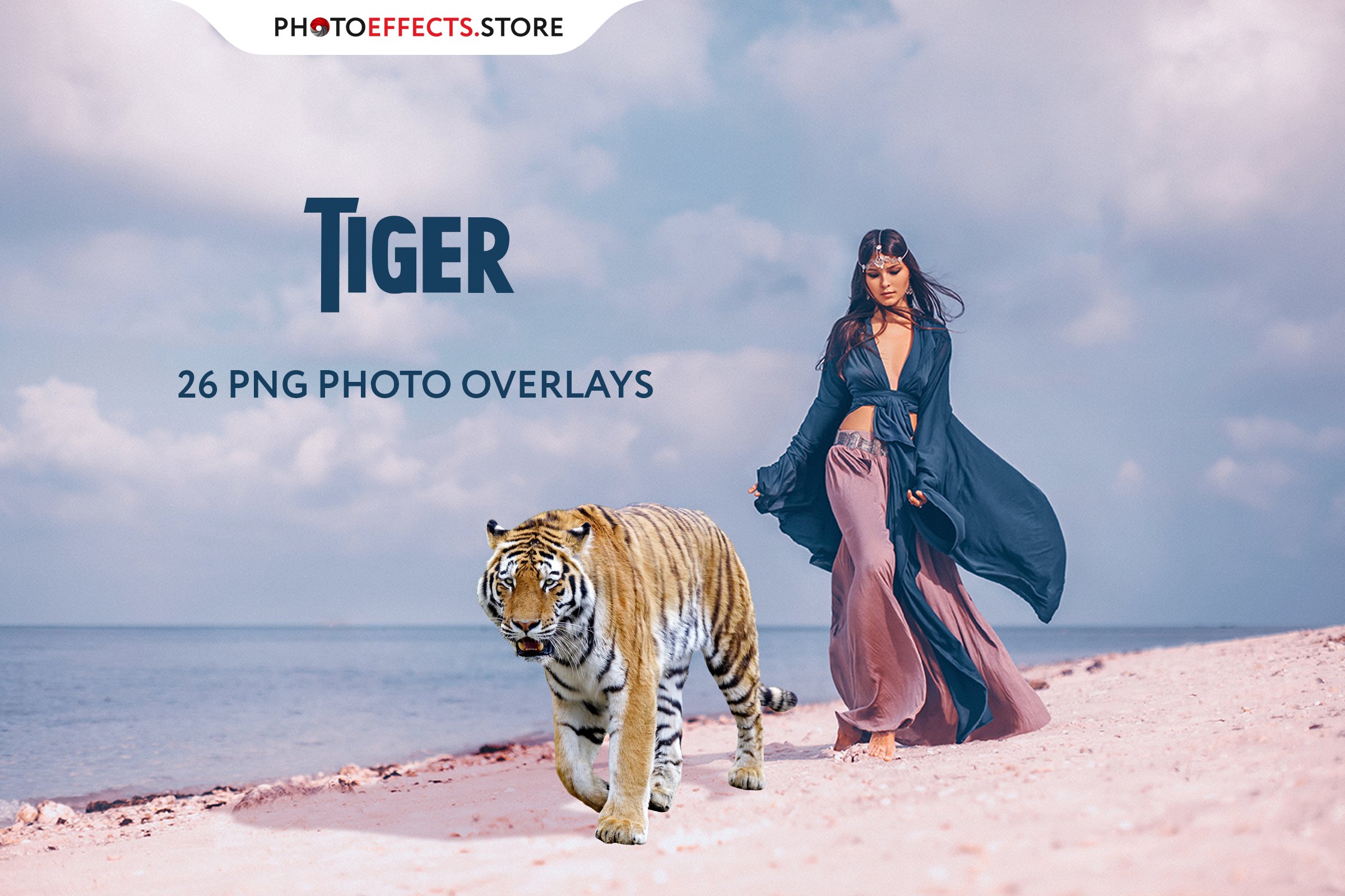 26 Tiger Photo Overlayscover image.