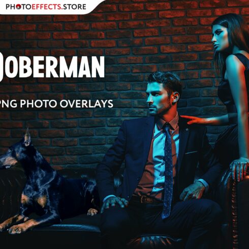 39 Doberman Photo Overlayscover image.