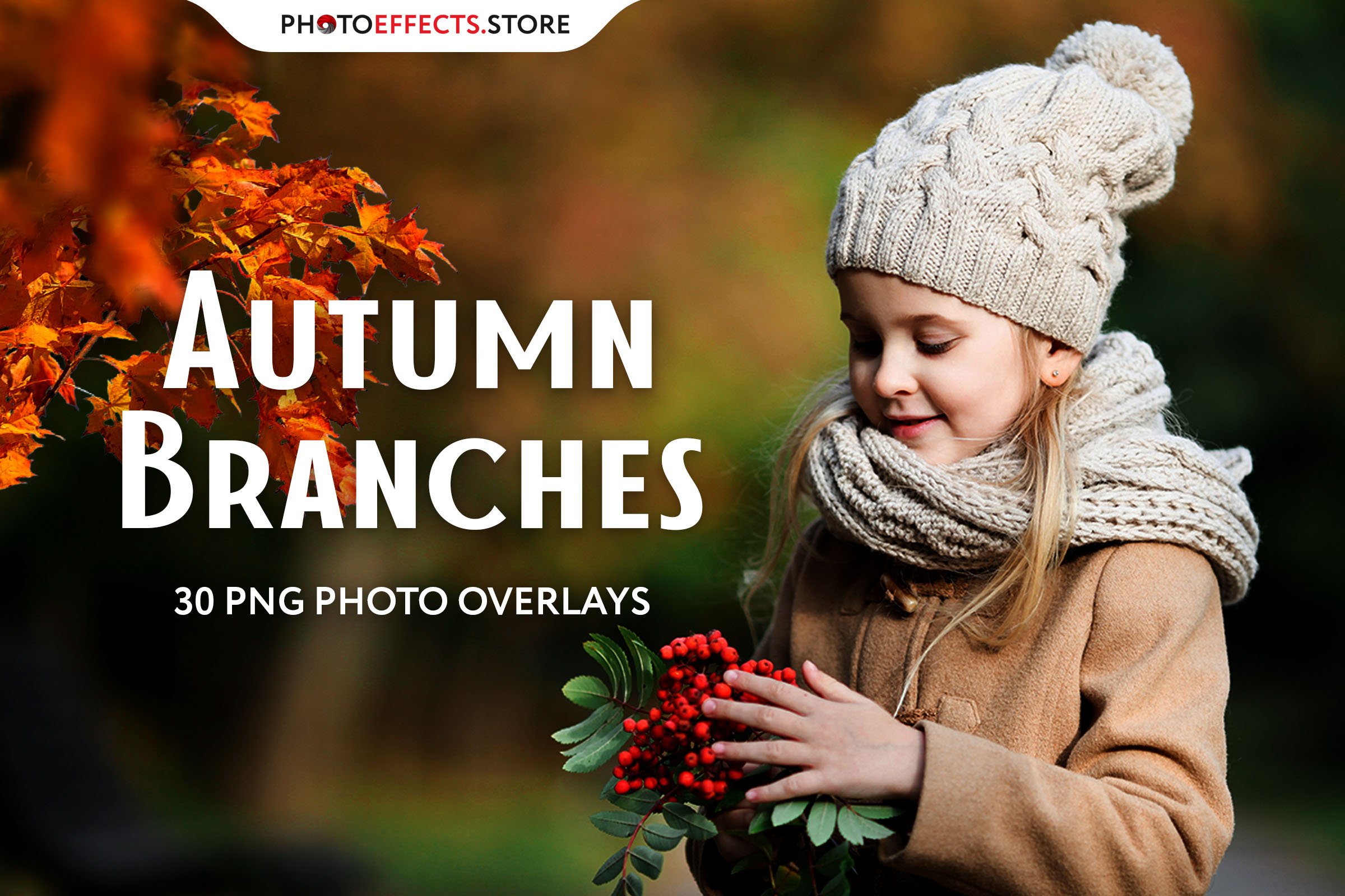 30 Autumn Branch Photo Overlayscover image.
