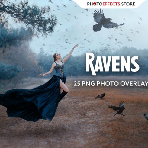 25 Ravens Photo Overlayscover image.