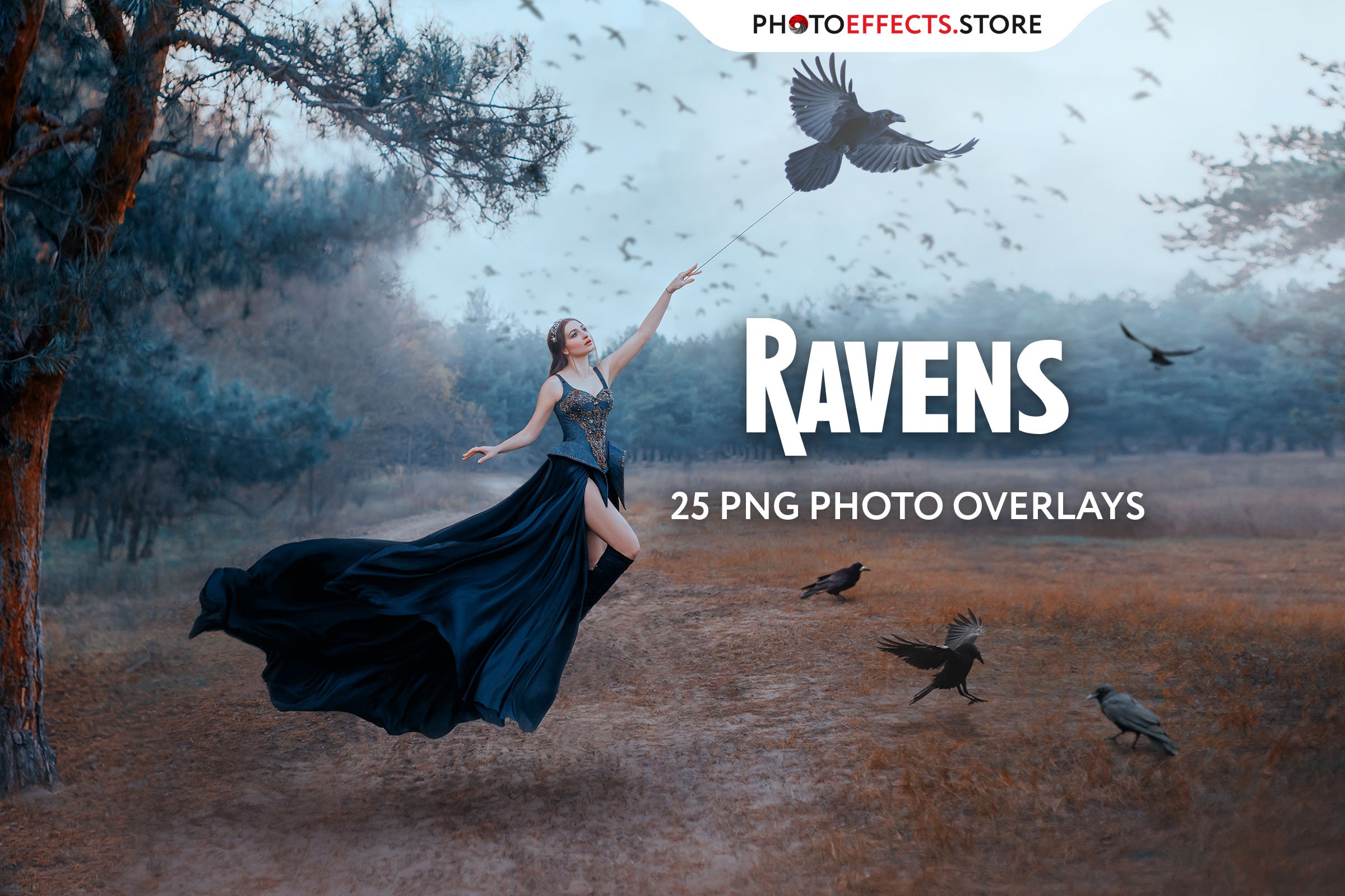 25 Ravens Photo Overlayscover image.