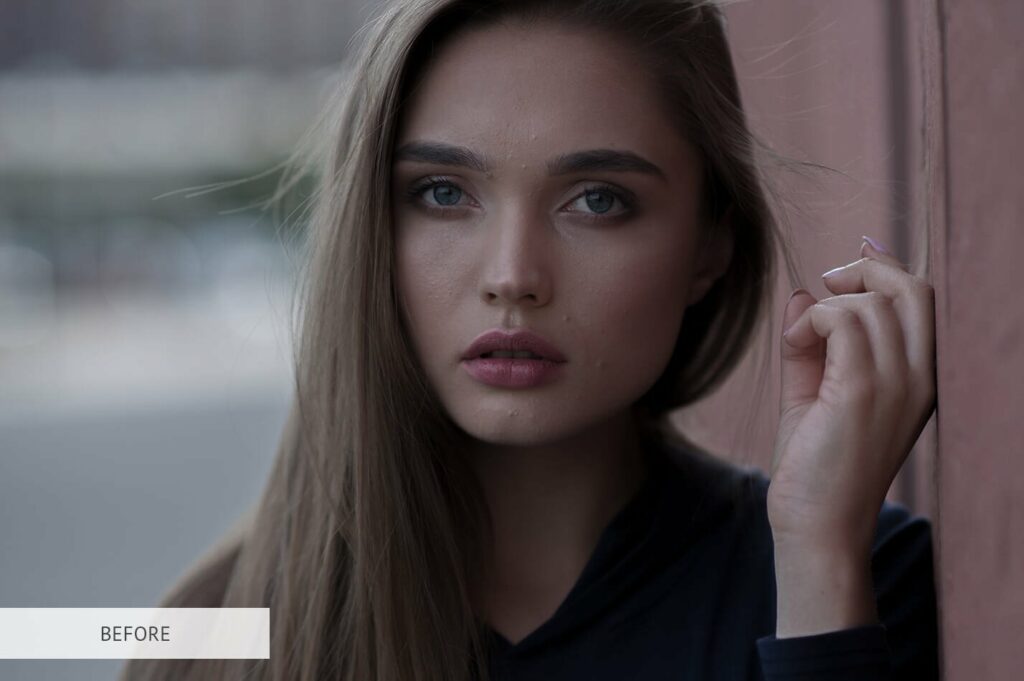 Portrait Pro Complete Collection – MasterBundles
