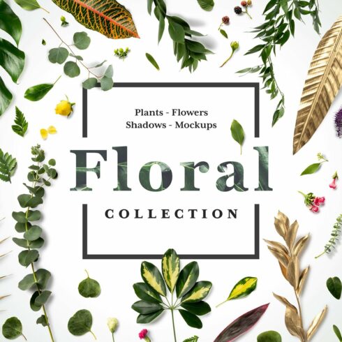 Floral Mockups Collection cover image.
