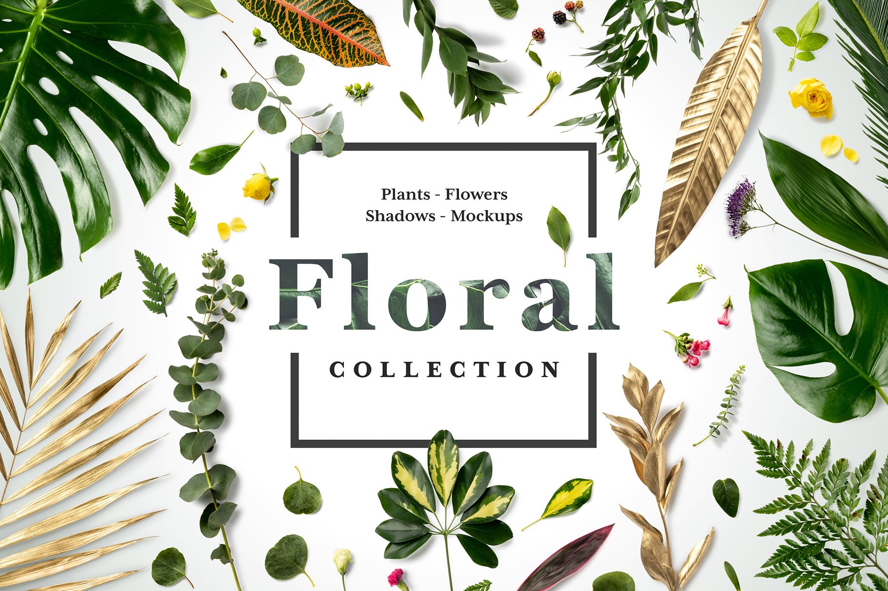 Floral Mockups Collection cover image.