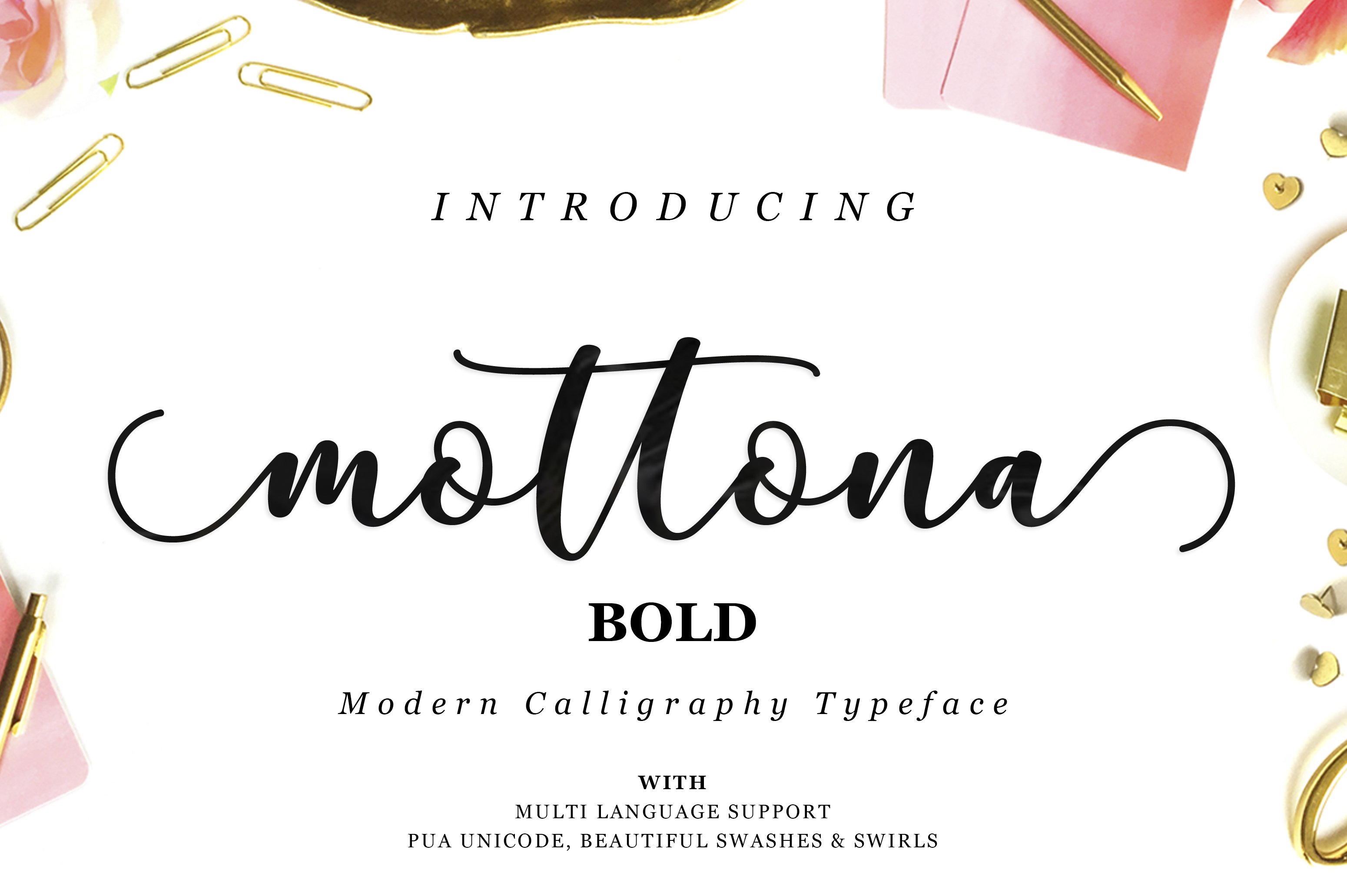 Mottona Bold Script cover image.