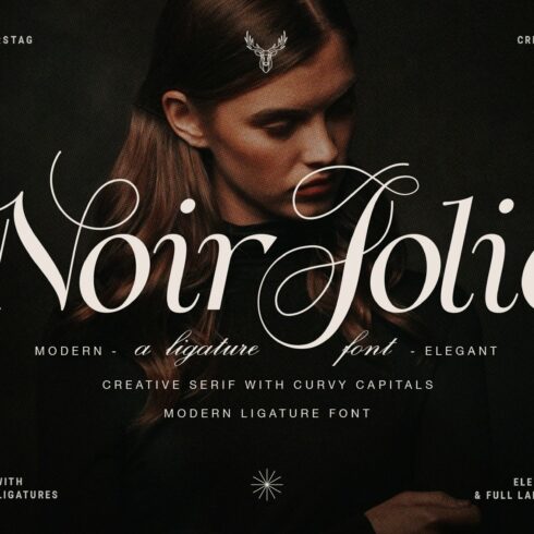 Noir Jolie - Modern Ligature Serifcover image.