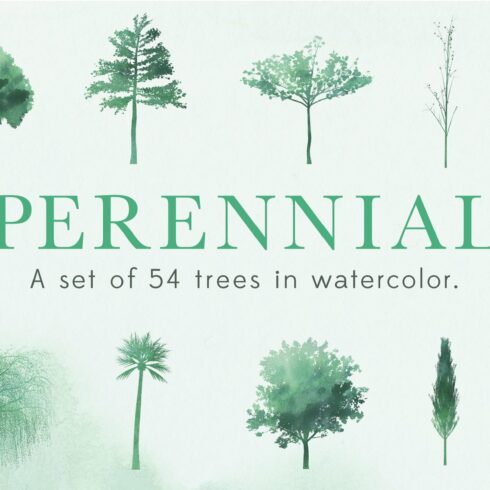 Perennial Tree Watercolor Shapes cover image.