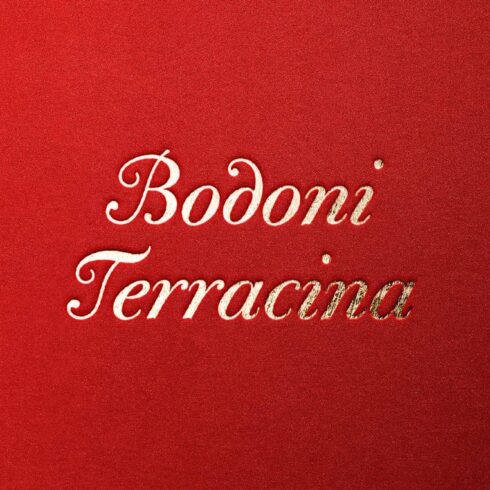 Bodoni Terracina Full Family 6 Fonts cover image.