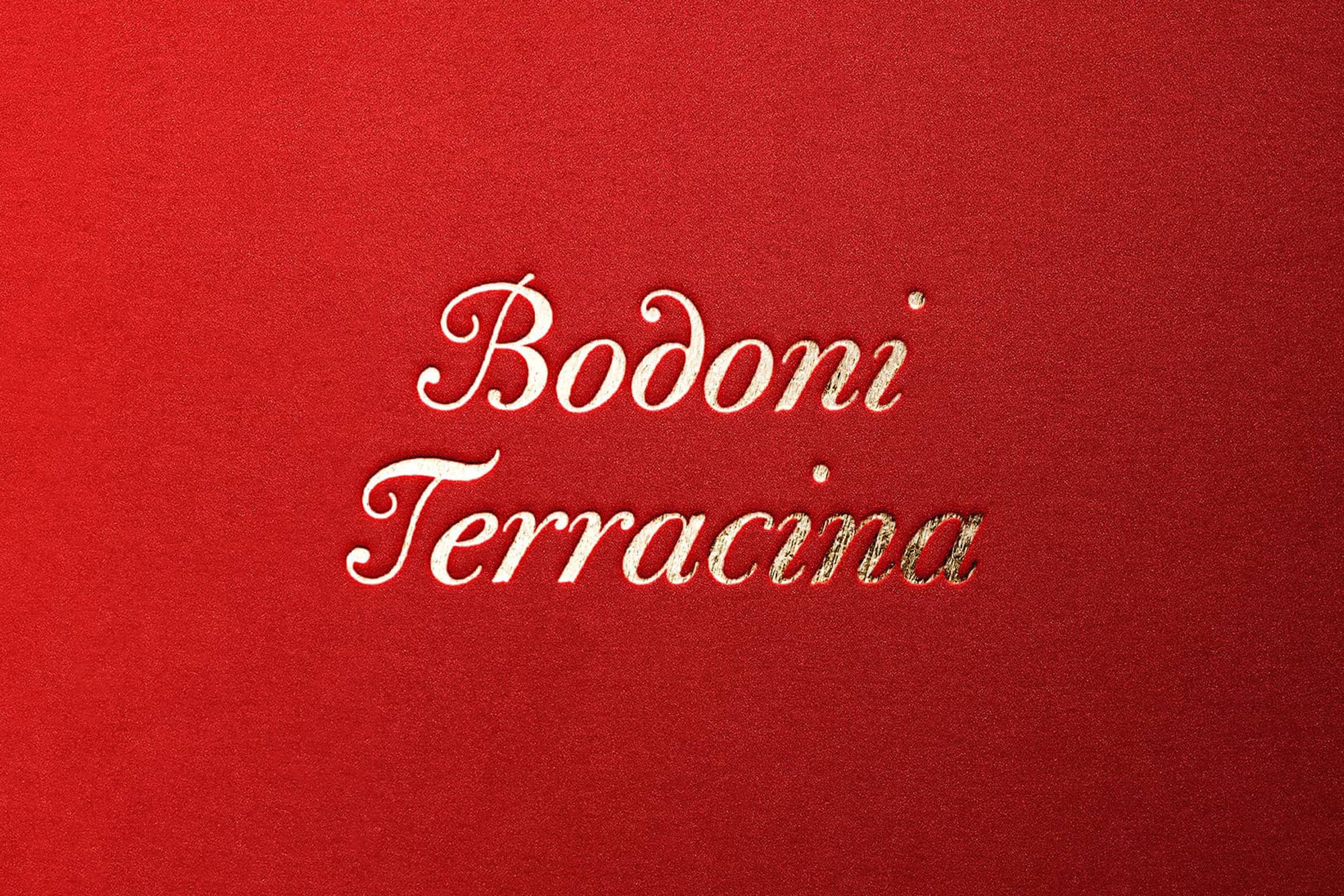 Bodoni Terracina Full Family 6 Fonts cover image.