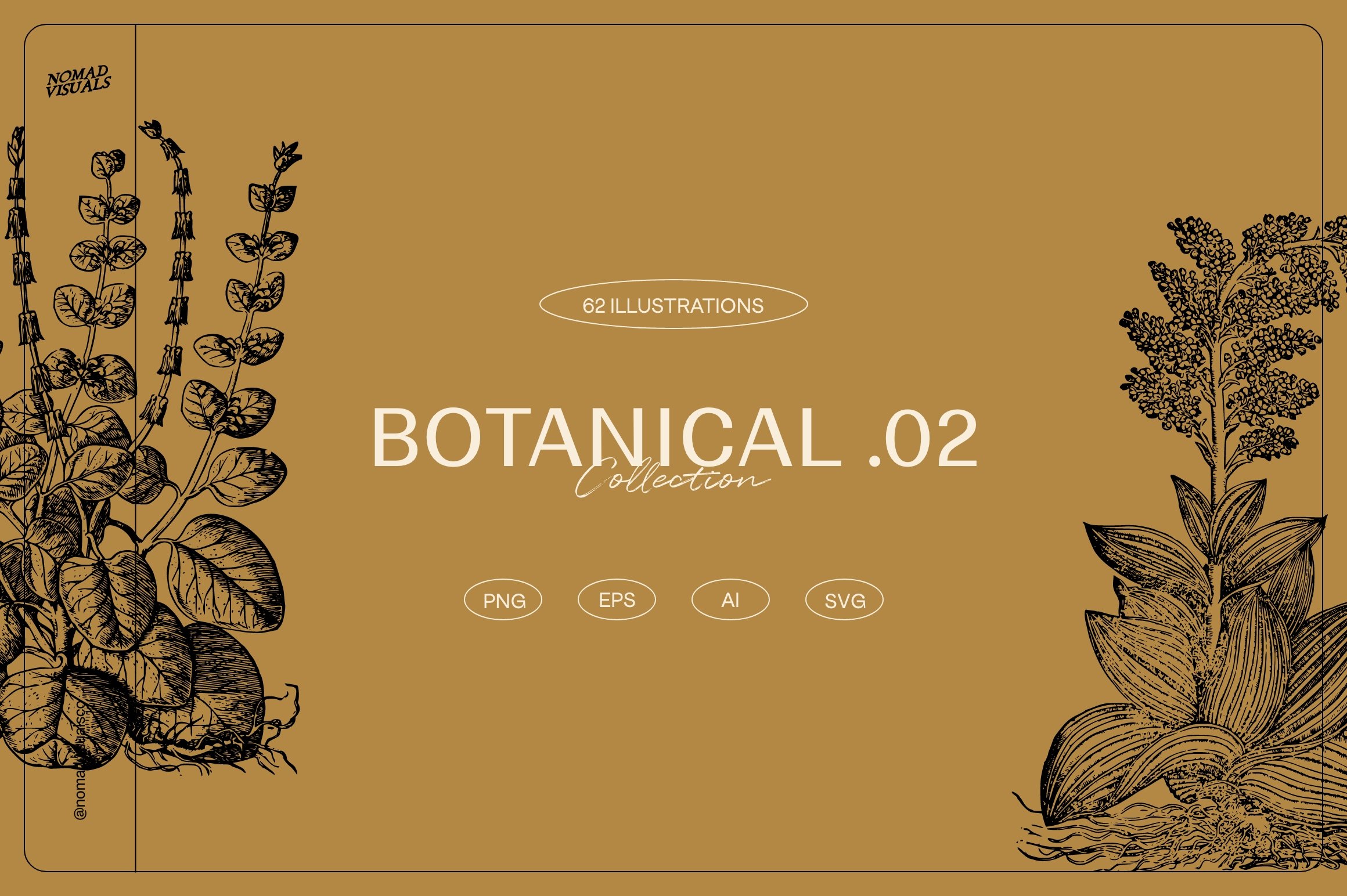 Botanical illustrations vol 2.
