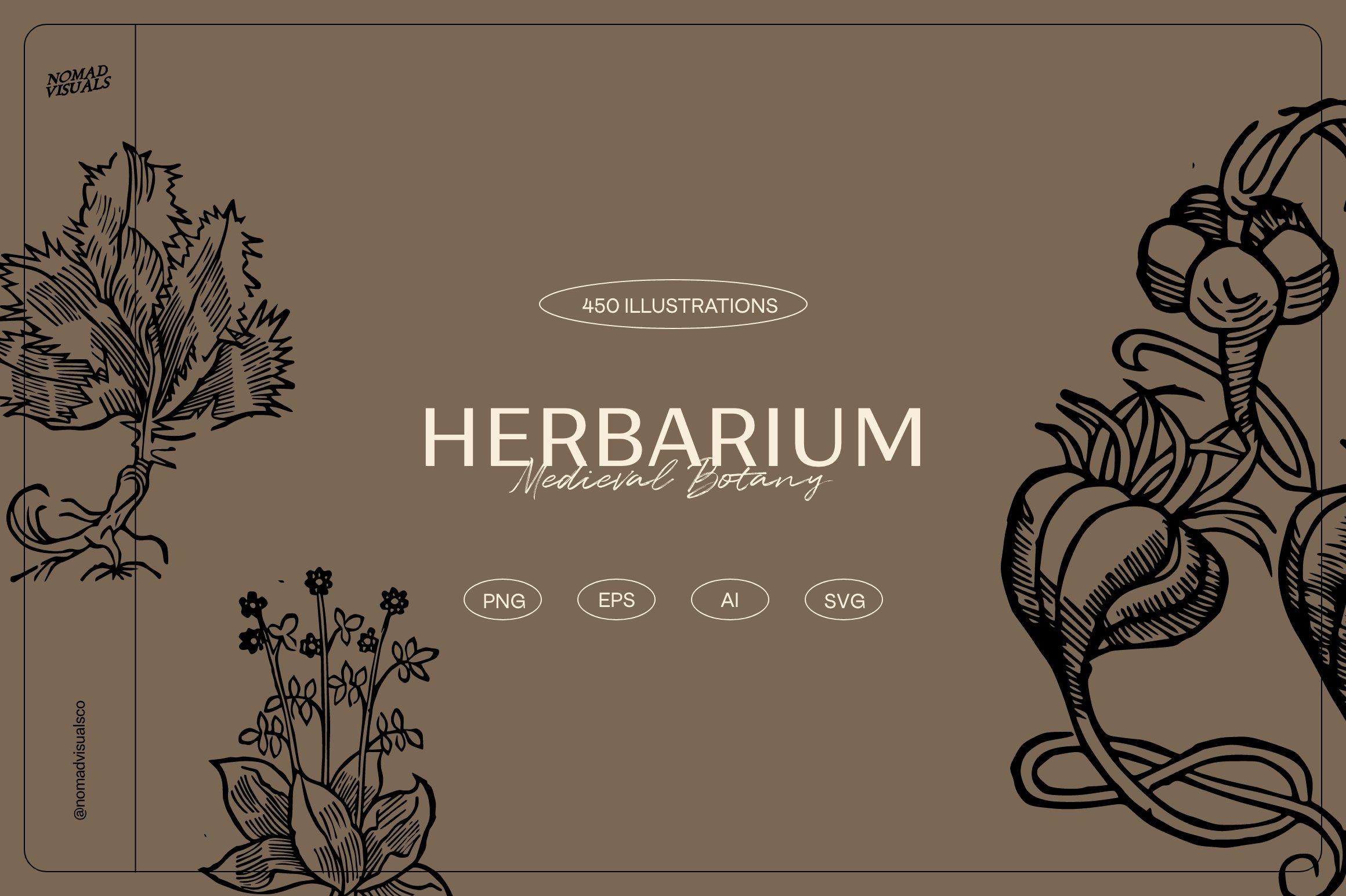 Drawing of herbs and flowers on a brown background.