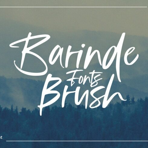 Barinde Brushcover image.