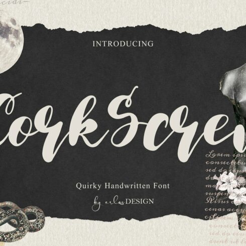 CorkScrew - Quirky Handwritten Font cover image.