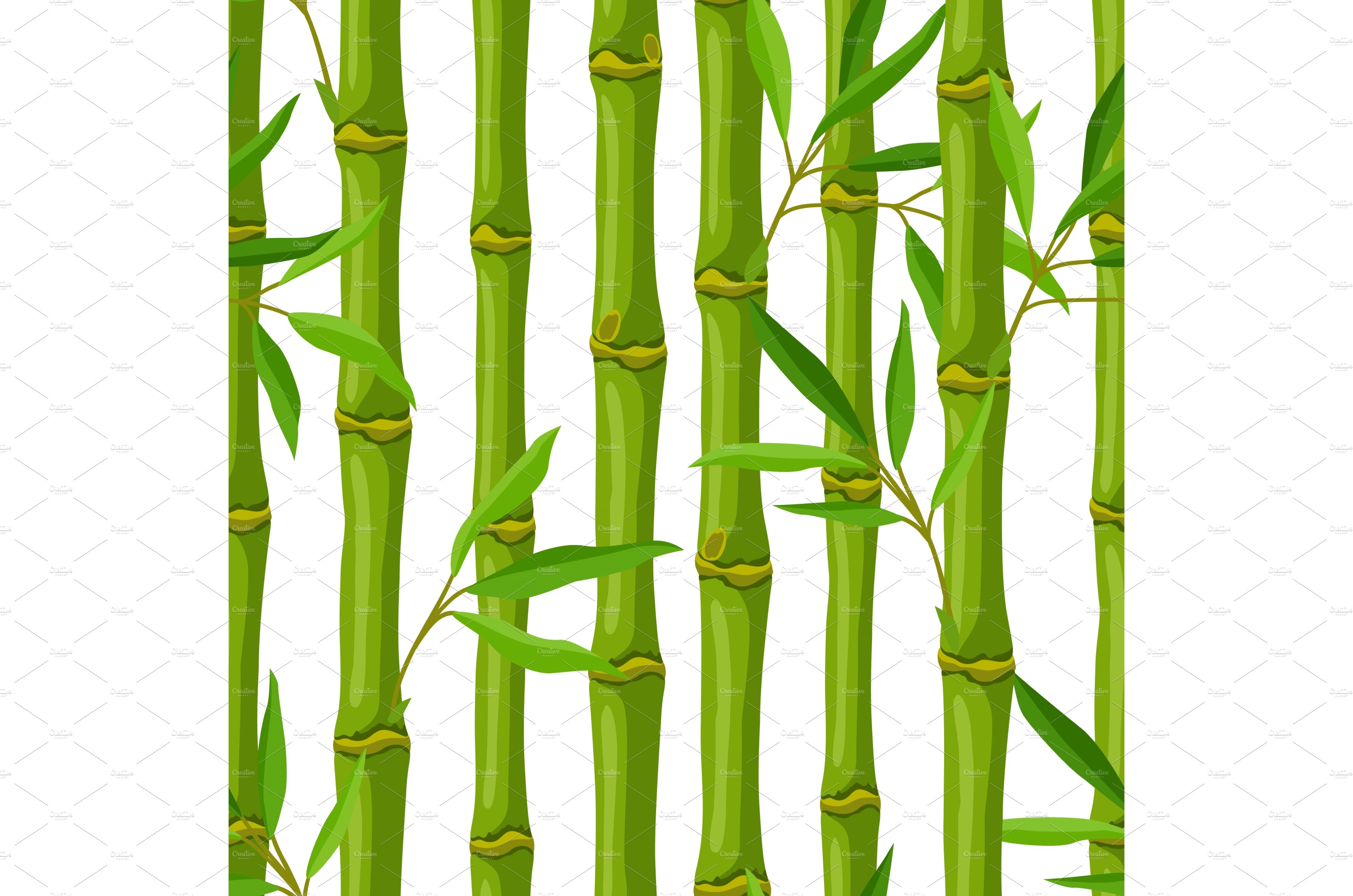 Picture of a bamboo tree with green leaves.
