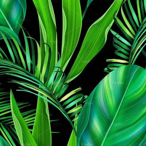 Black background with green palm leaves.