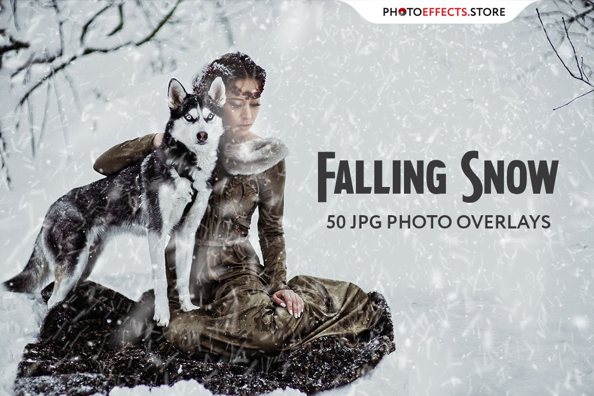 50 Falling Snow Photo Overlayscover image.