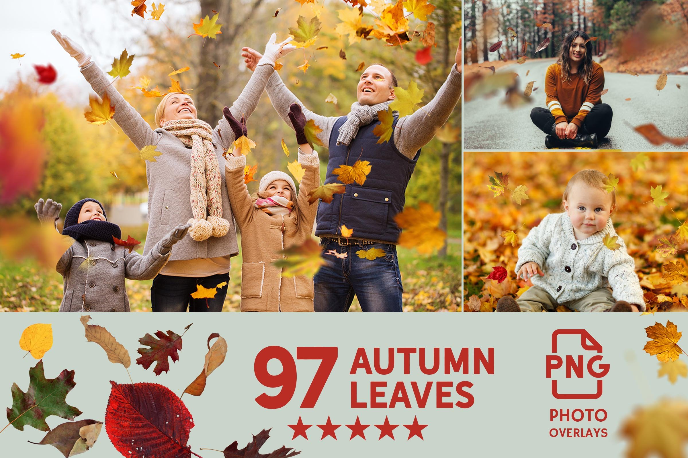 016. 97 autumn leaves photo overlays 508