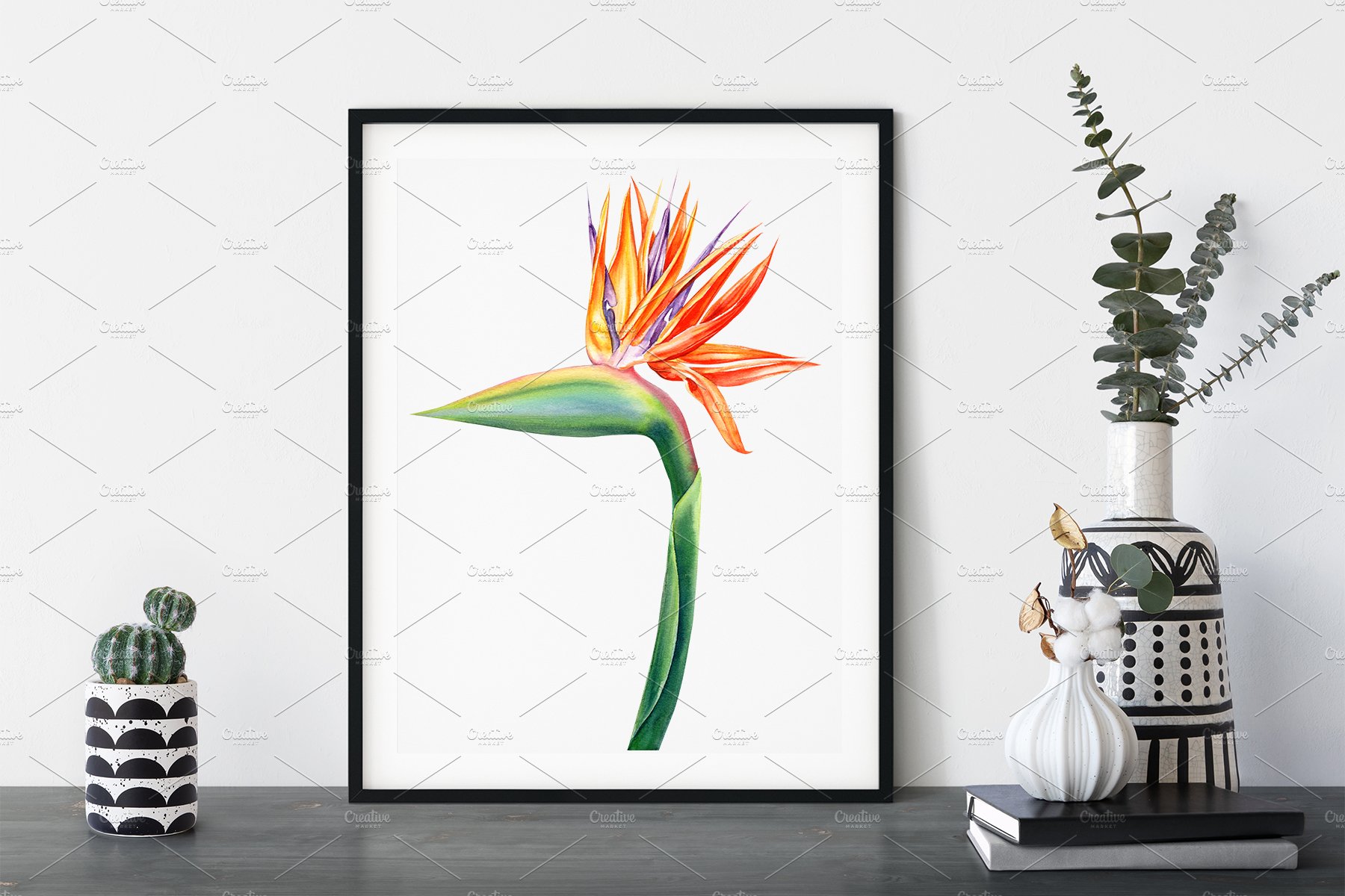 Picture of a bird of paradise flower on a white background.