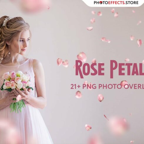 21 Rose Petal Photoshop Overlayscover image.