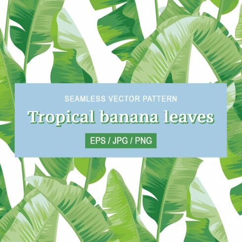 Tropical banana leaves pattern. cover image.