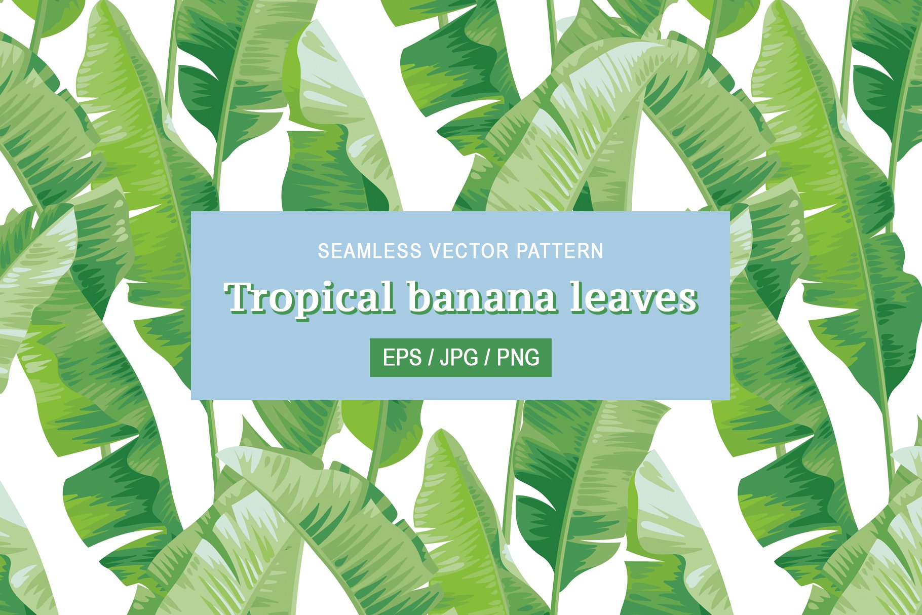 Tropical banana leaves pattern. cover image.