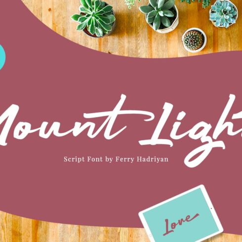 Mount Light - Script Font cover image.