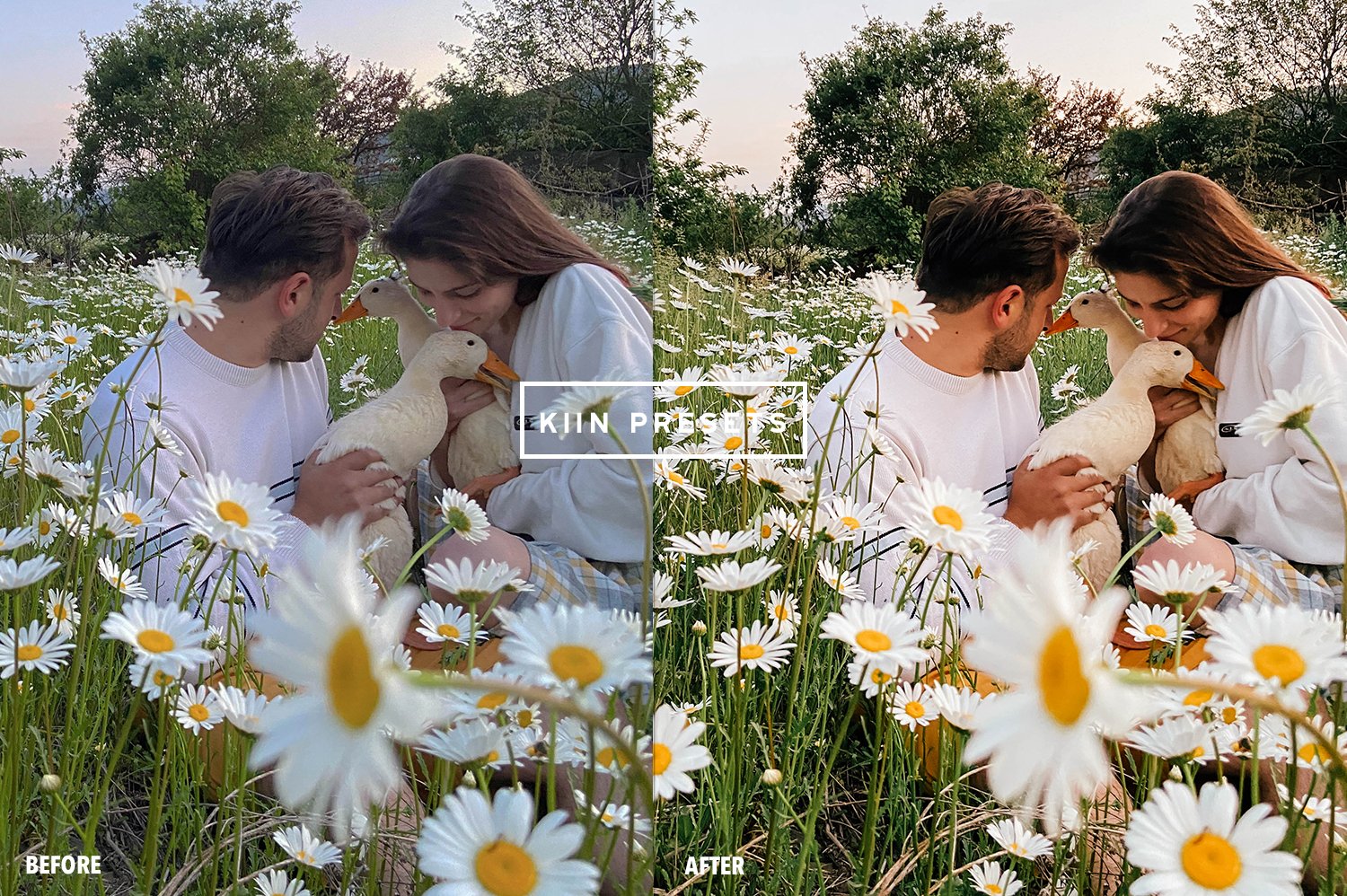 01kiin lightroom presets spring presets spring filter outdoor presets garden filter warm preset english garden presets familyphotography influencer presets summer presets 184