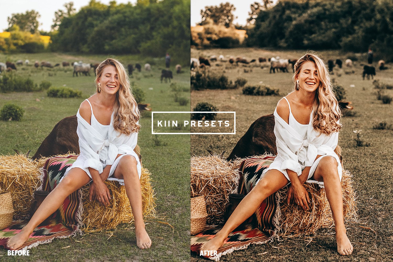 01kiin presetslightroom presetsmobile presets fall presets moody presets autumn preset autumn filter fall presets family presets. 251