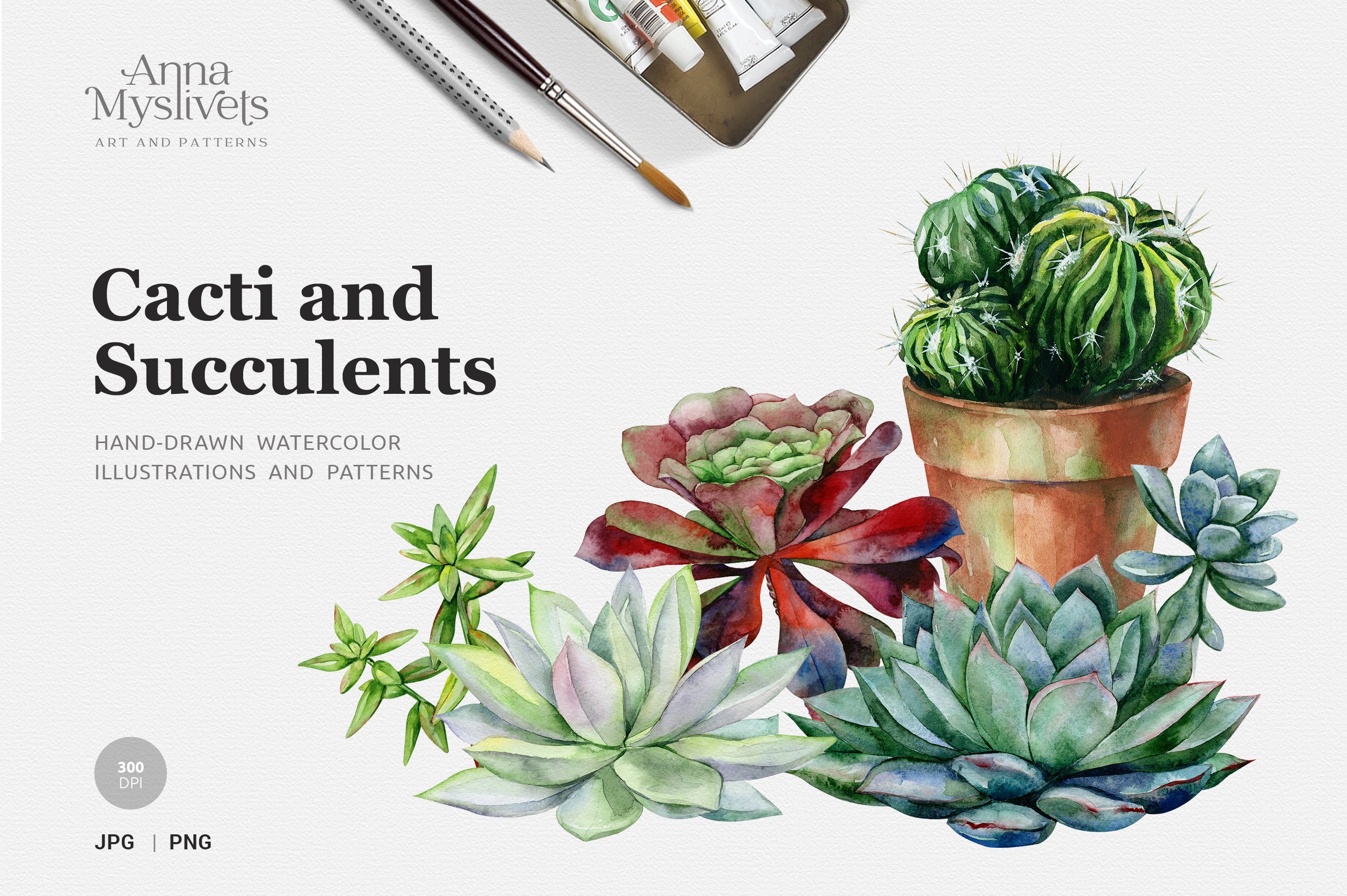 Cacti & Succulents cover image.
