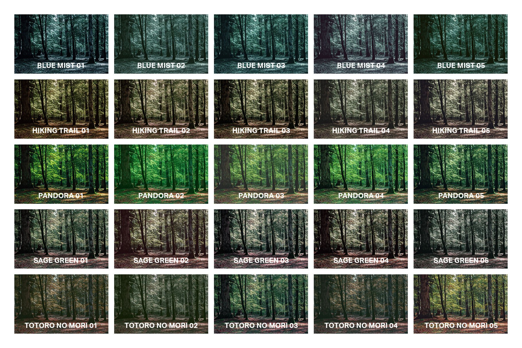 25 Enchanted Forest Lightroom Presetpreview image.