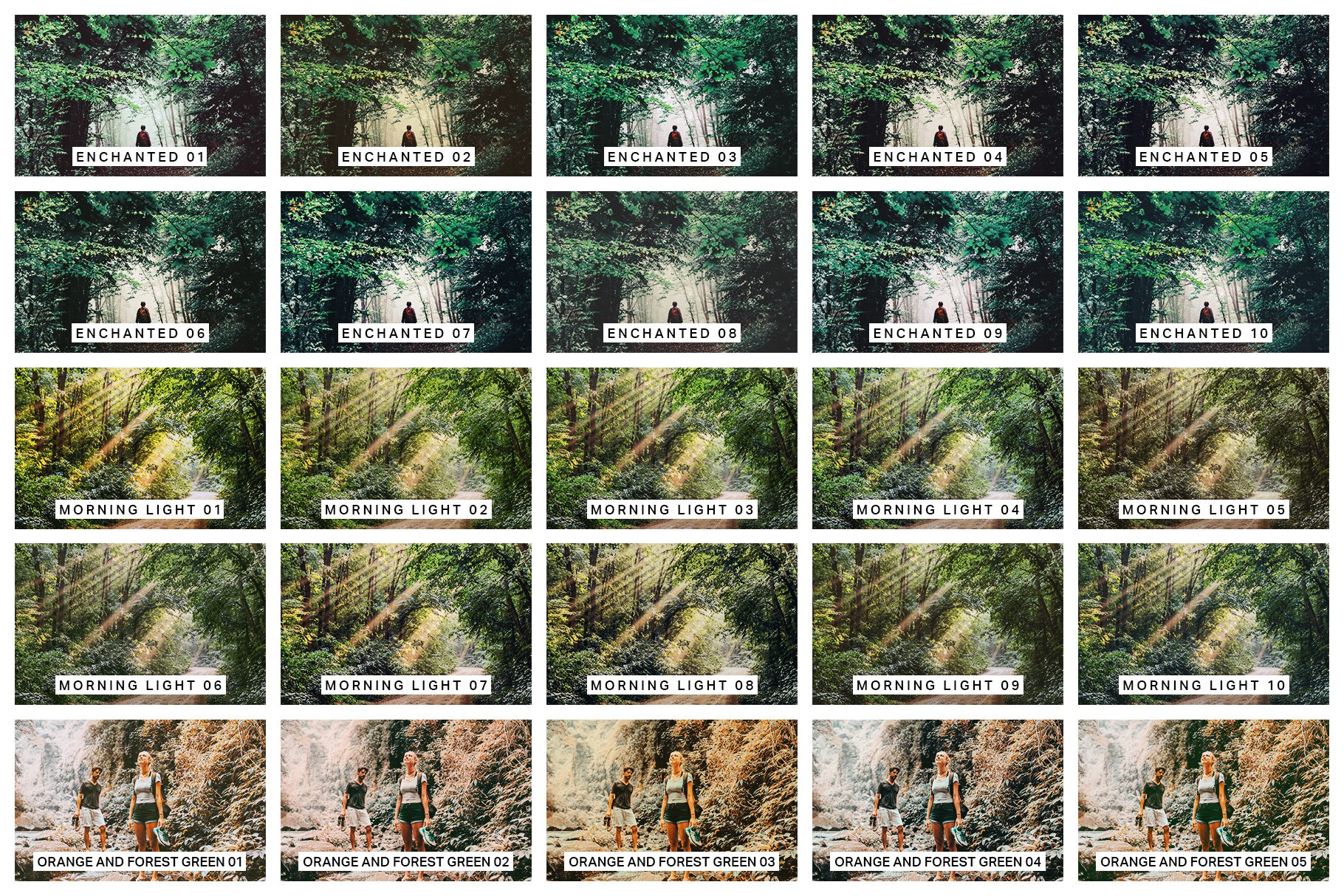 50 Forest Lightroom Presets and LUTspreview image.