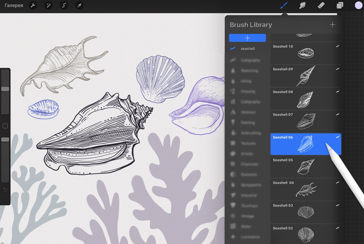 Procreate - Seashell Stampspreview image.