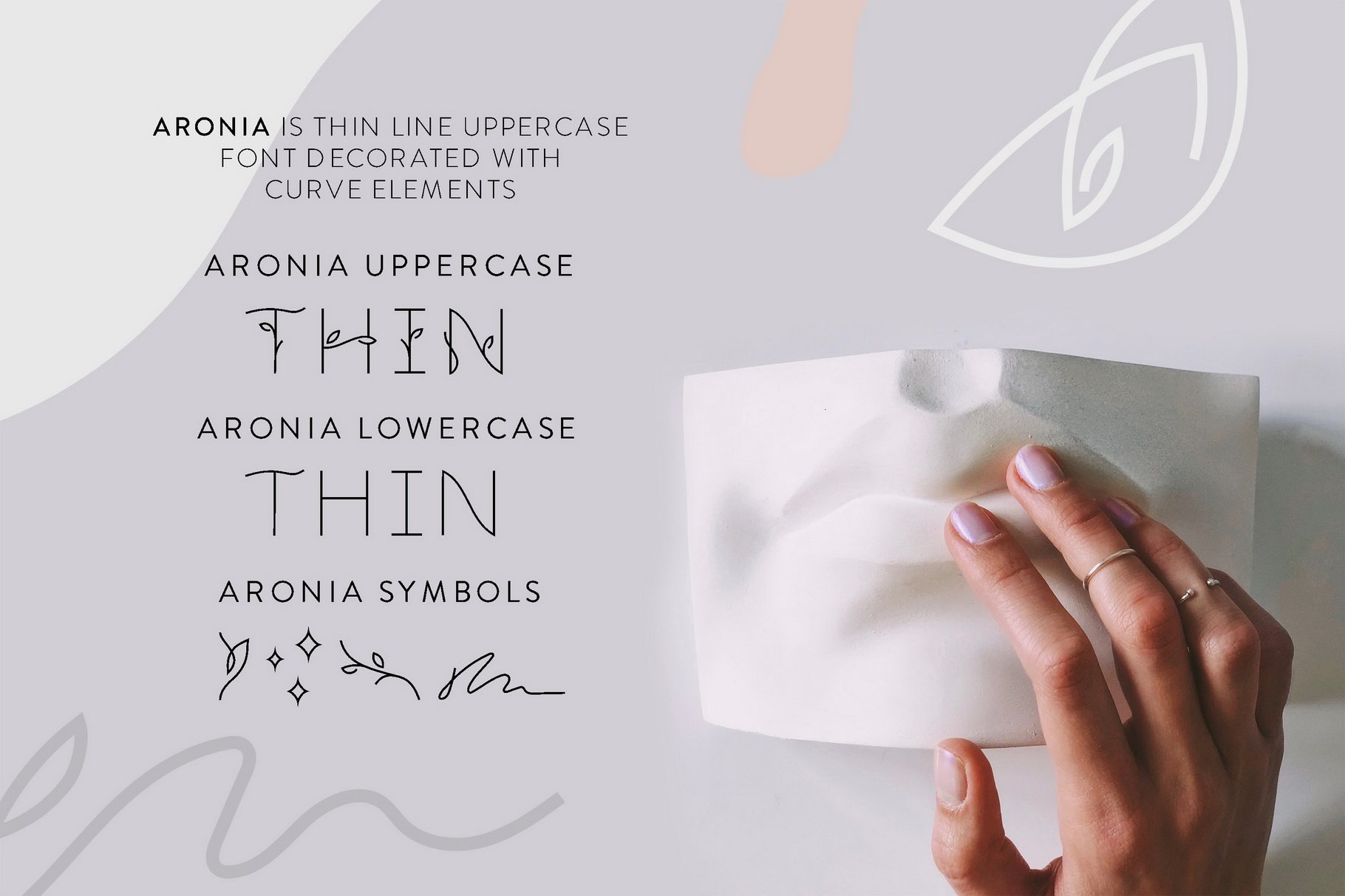 Aronia - Thin Line Logo Font preview image.