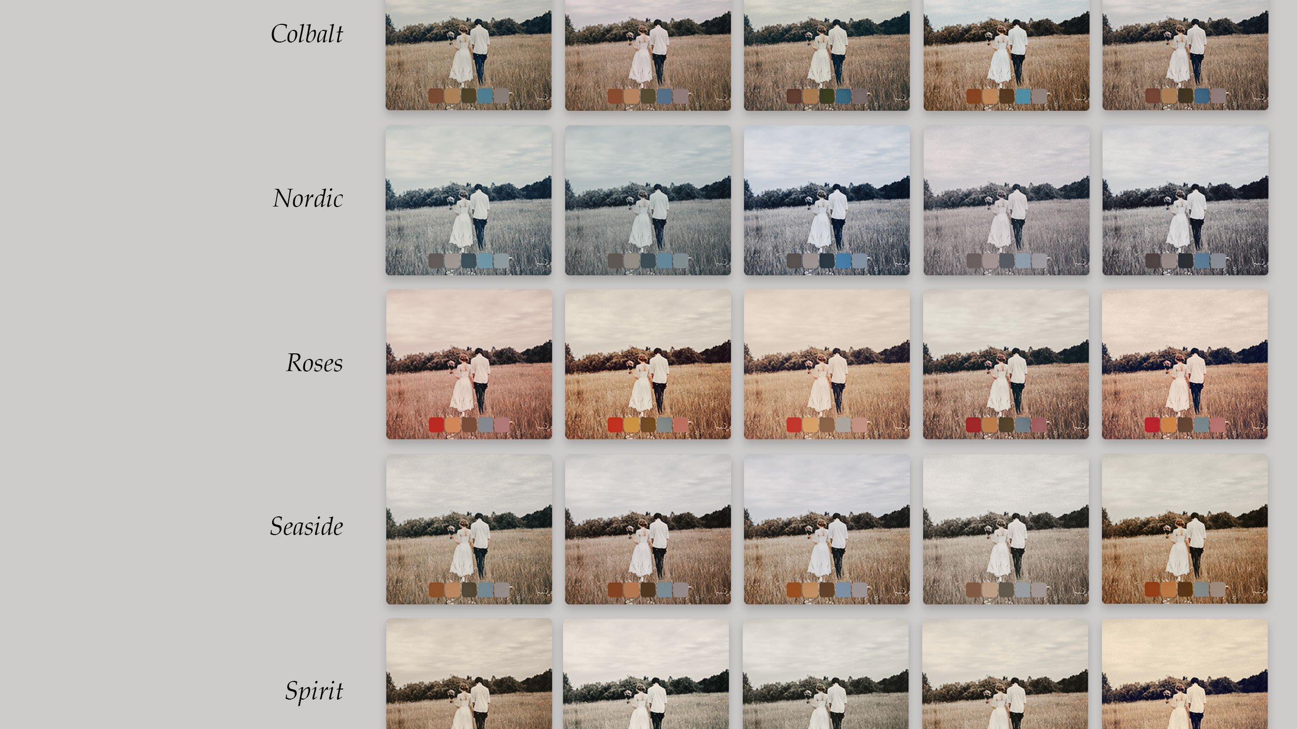 25 Earthy Tones Lightroom Presetspreview image.