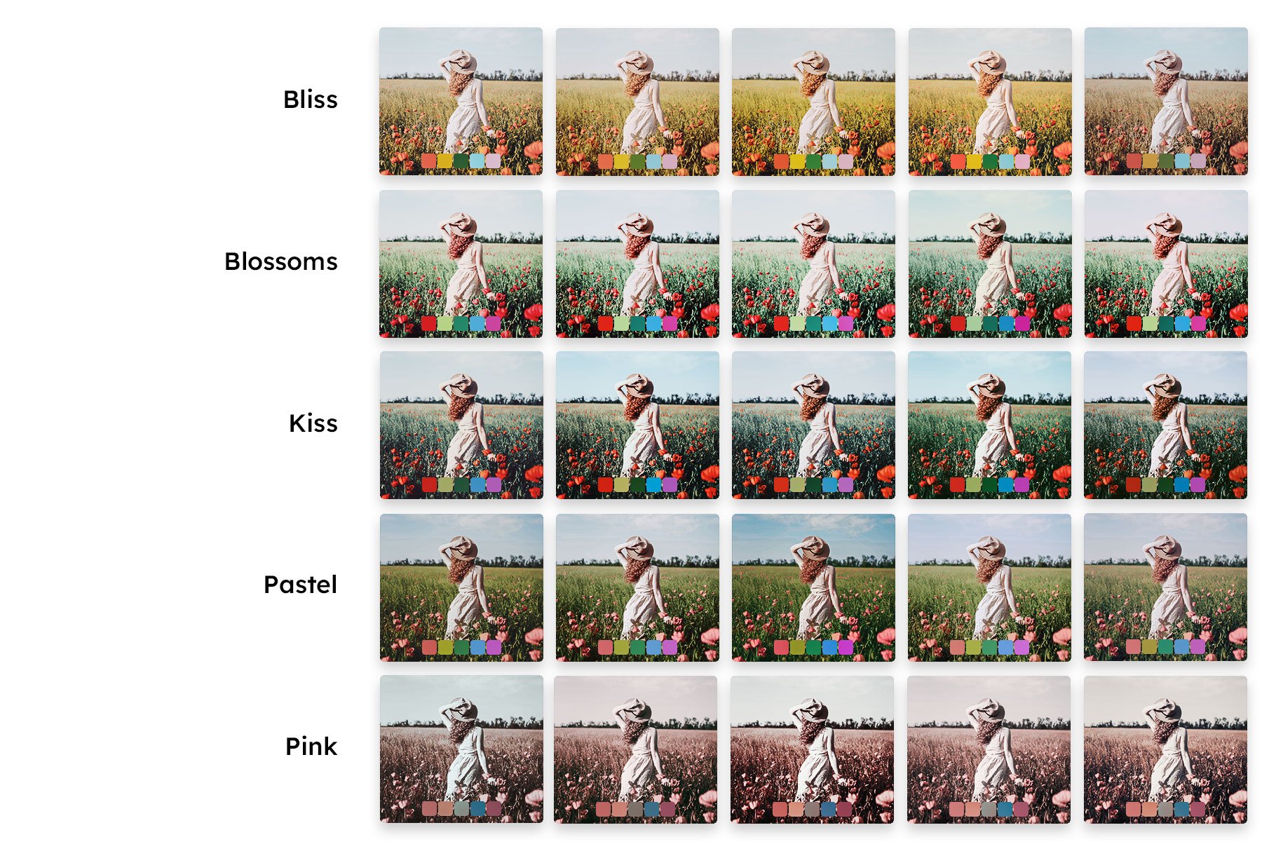 25 Bright Spring Lightroom Presetspreview image.