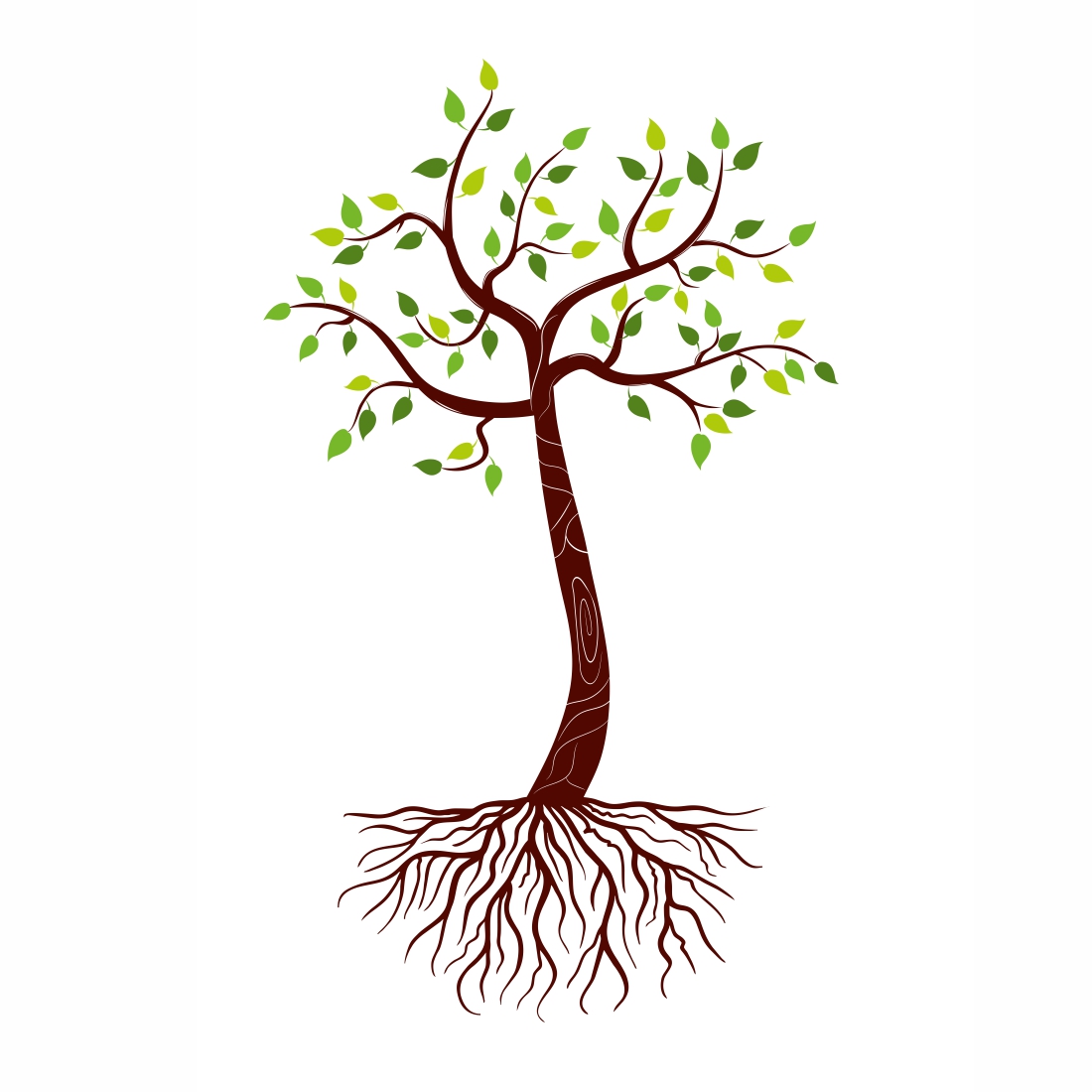 Tree logo preview image.
