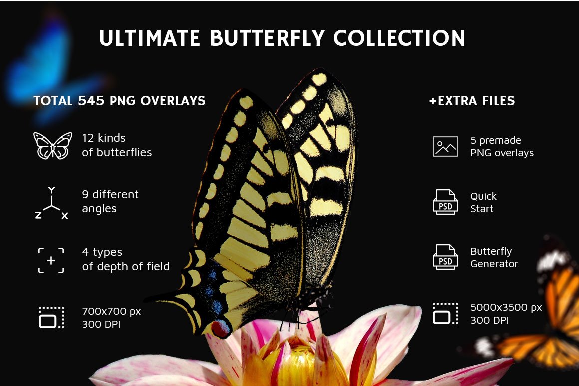 02 butterflies overlays 875