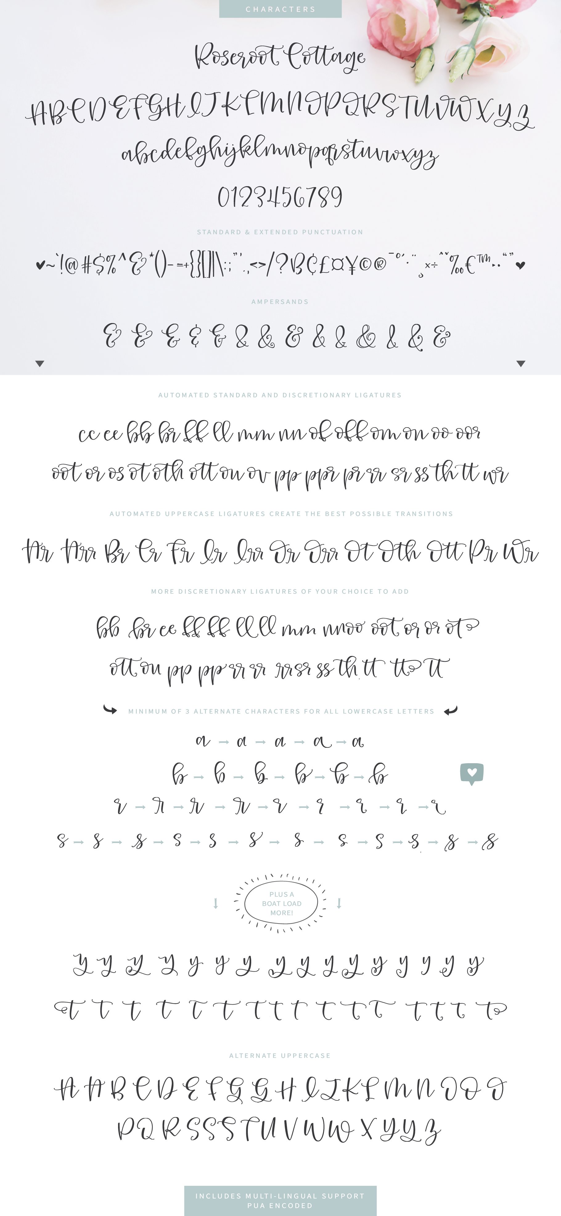 Roseroot Cottage Font Collection preview image.