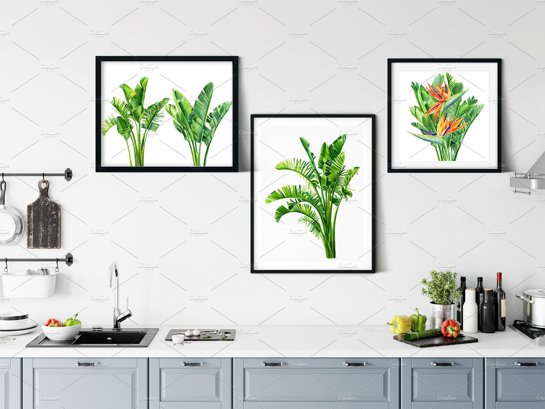 Strelitzia flowers and leaves preview image.