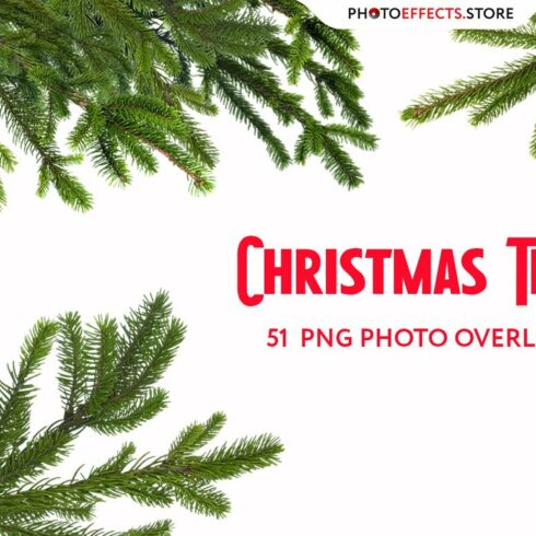 51 Christmas Tree Branch Clipartcover image.