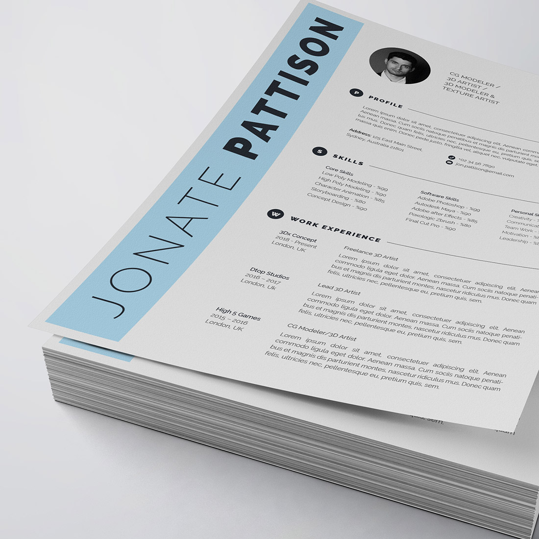 Professional resume template with a blue border.