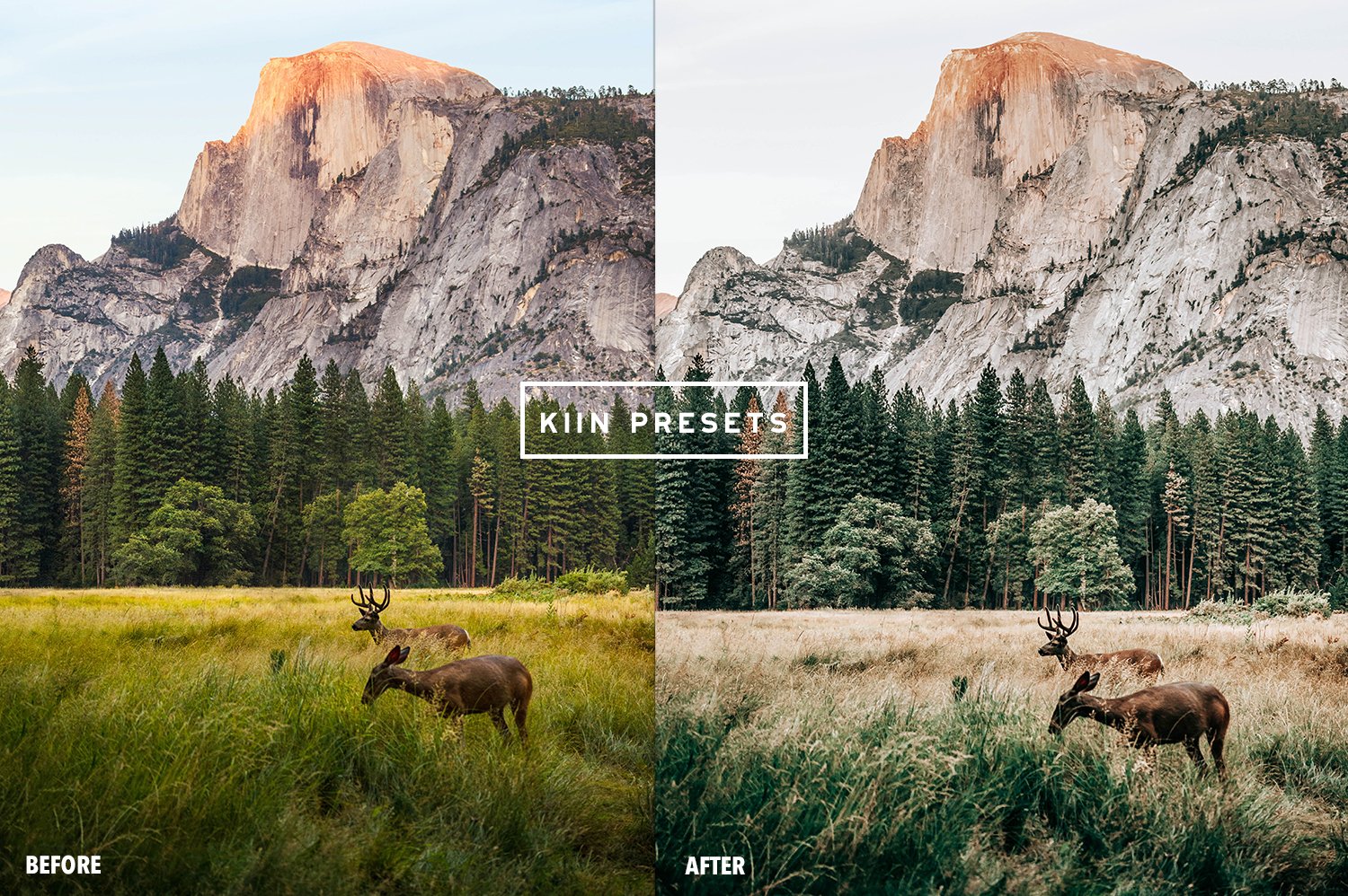 02kiin presetslightroom presetsmobile presets wanderlust presets travel presets boho preset travel filter travel influencer presets forest presets 110